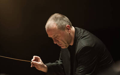 Immagine: Lonquich 11 novembre