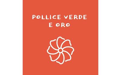 Immagine: MDG_pollice verde e oro