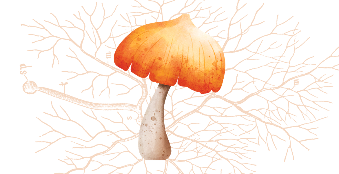 Immagine: Miceto calendario
