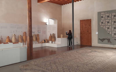 Immagine: Museo Naturalistico