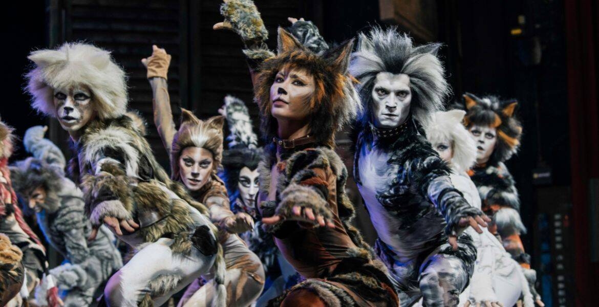 Immagine: Musical_Cats_Gianluca_Saragò