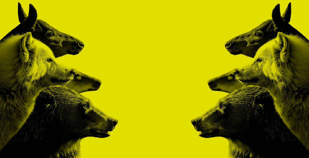 Immagine: mutazioni 05_teatro spazio bixio