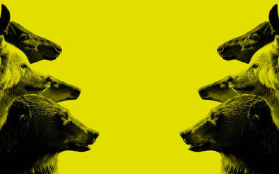 Immagine: mutazioni 05_teatro spazio bixio