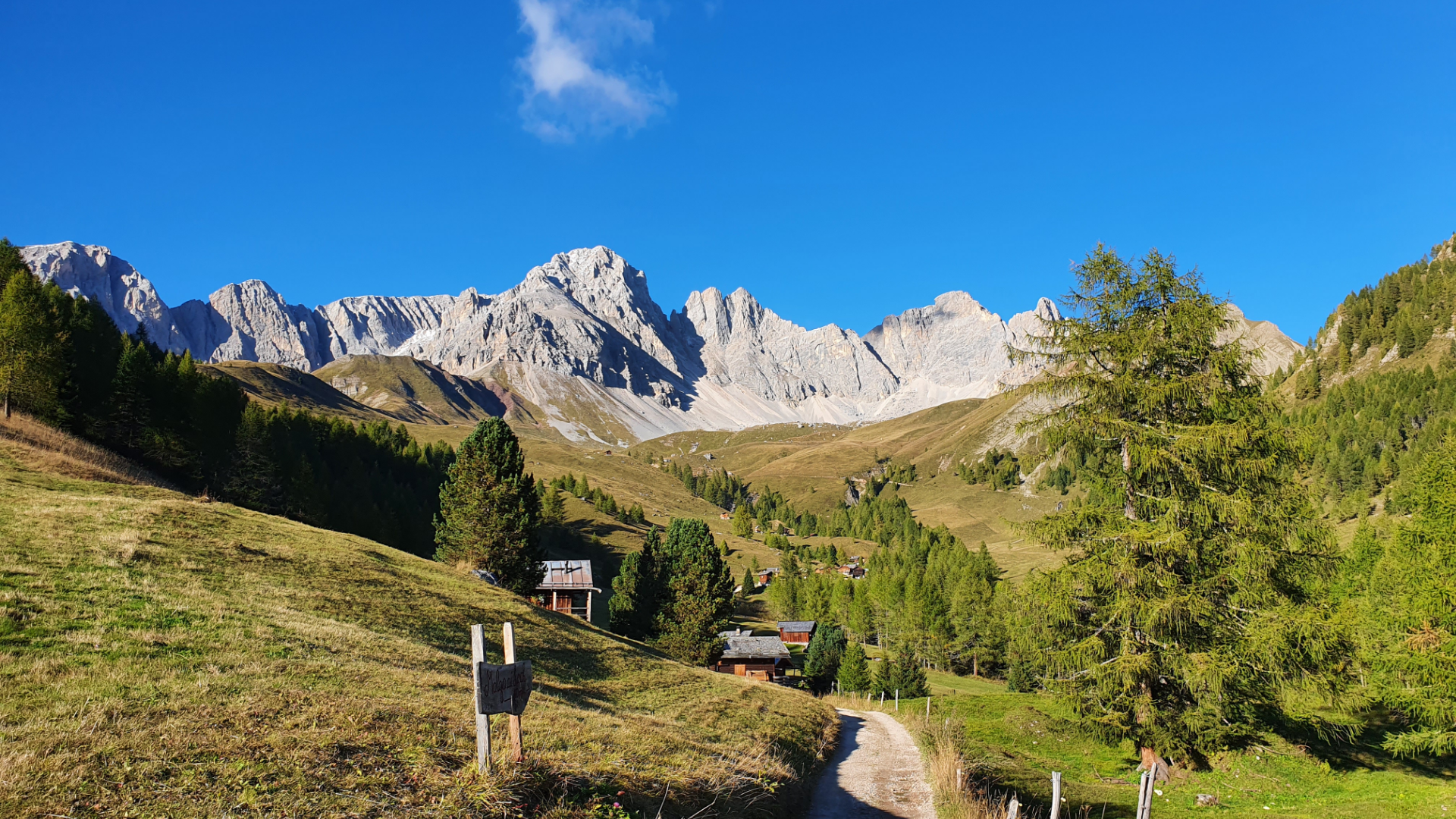 Immagine: Natura e impresa