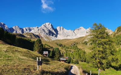 Immagine: Natura e impresa