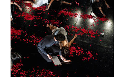 Immagine: NIENTE DI GRAVE