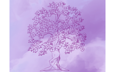 Immagine: Note a cielo aperto