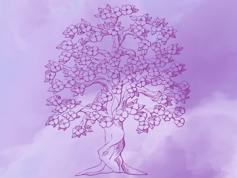 Immagine: Note a cielo aperto