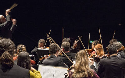 Immagine: Orchestra del Teatro Olimpico - Lonquich
