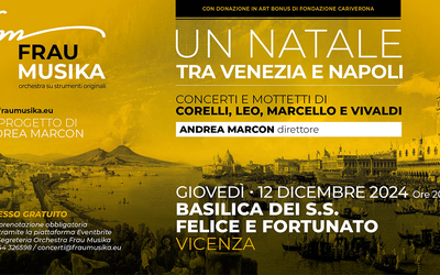 Immagine: Orchestra Frau Musika