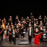 Immagine: Orchestra sinfonica del Veneto 
