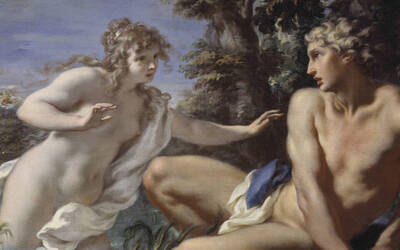 Immagine: Ospite al Chiericati