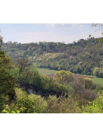 Immagine: Parco di Villa Bedin - Aldighieri