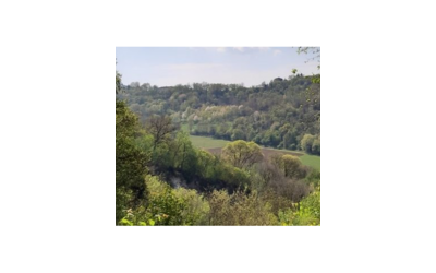 Immagine: Parco di Villa Bedin - Aldighieri