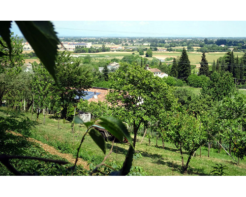 Immagine: Parco di Villa Rota Barbieri