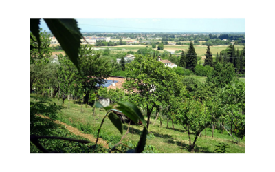 Immagine: Parco di Villa Rota Barbieri