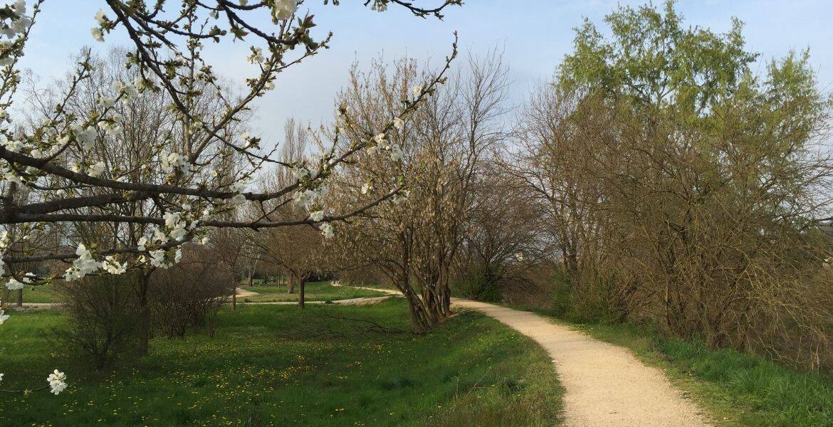 Immagine: Parco Retrone