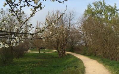 Immagine: Parco Retrone