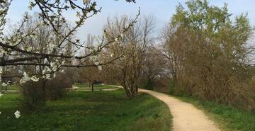 Parco Retrone