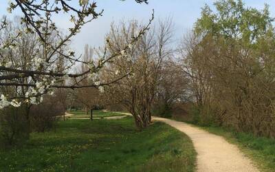 Immagine: Parco Retrone