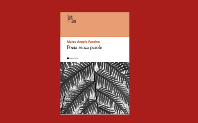 Immagine: Poeta senza parole