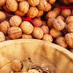 Immagine: Produttori