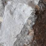 Immagine: Roberto Mascella