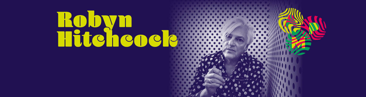 Immagine: Robyn Hitchcock