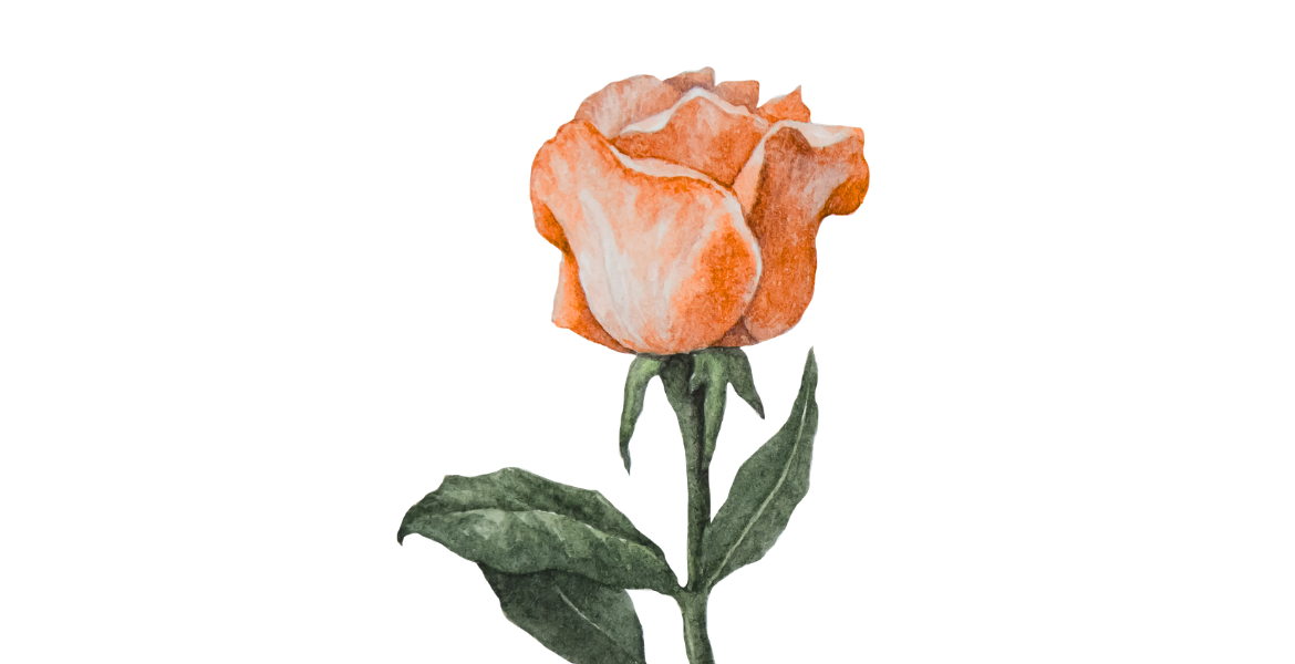 Immagine: Rosa CALENDARIO