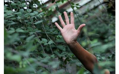 CARPINO | tre laboratori di citizen science