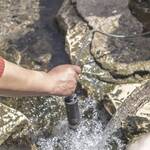 Immagine: Science camp