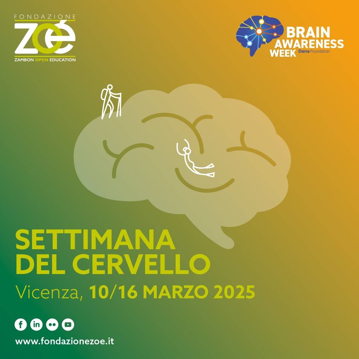 Immagine: Settimana del cervello