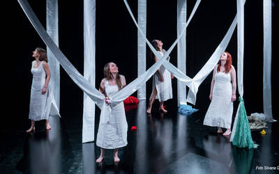 Immagine: Sogni d'oltremare-Silvana Gallio 1600x900 (11)