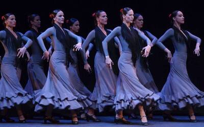 Immagine: Suite Flamenca_stagione202425