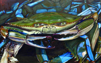 Immagine: Tempus fugit!Fio mio - Tempus fugit! My son