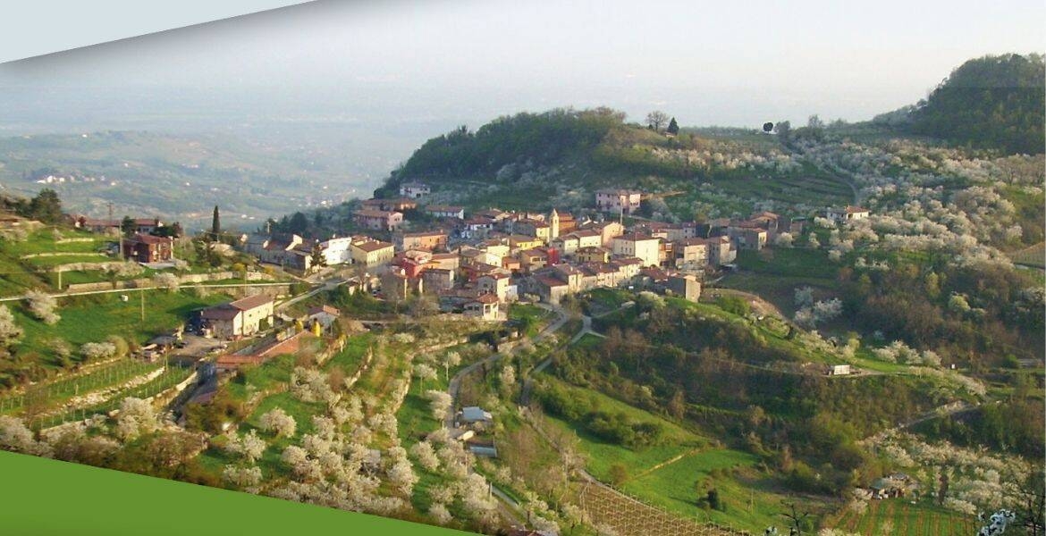 Immagine: Valpolicella